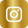 Ícone do Instagram